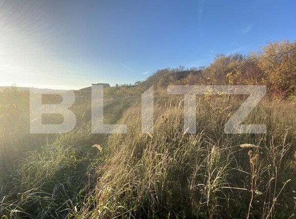 Teren de vânzare Exterior-Est - 160969TV | BLITZ Zalău | Poza5