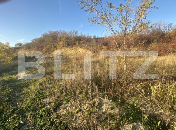 Teren de vânzare Exterior-Est - 160969TV | BLITZ Zalău | Poza1