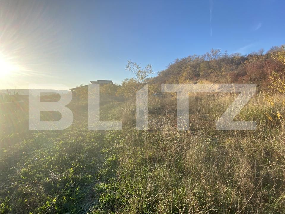 Teren de vânzare Exterior-Est - 160969TV | BLITZ Zalău | Poza3
