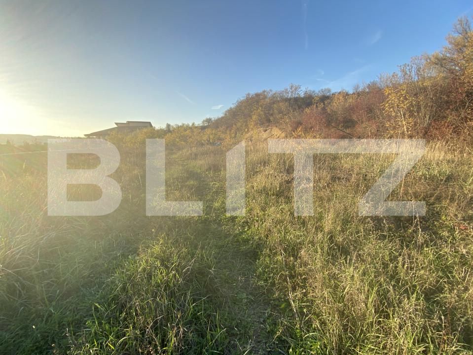 Teren de vânzare Exterior-Est - 160969TV | BLITZ Zalău | Poza4
