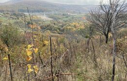 Teren extravilan suparfata 787 mp in zona Bradet