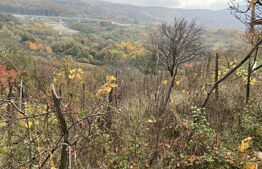 Teren extravilan 787 mp in zona Somosoldal