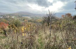 Teren extravilan 787 mp in zona Somosoldal