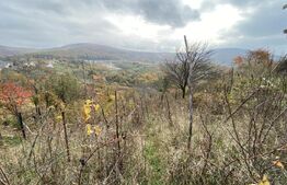 Teren extravilan suparfata 787 mp in zona Bradet