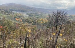 Teren extravilan 787 mp in zona Somosoldal