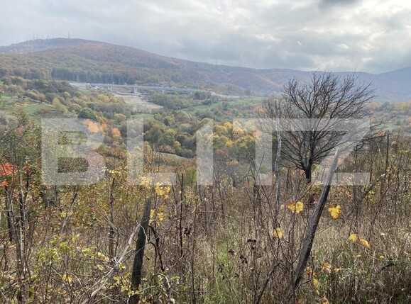 Teren de vânzare Exterior-Vest - 161051TV | BLITZ Zalău | Poza2