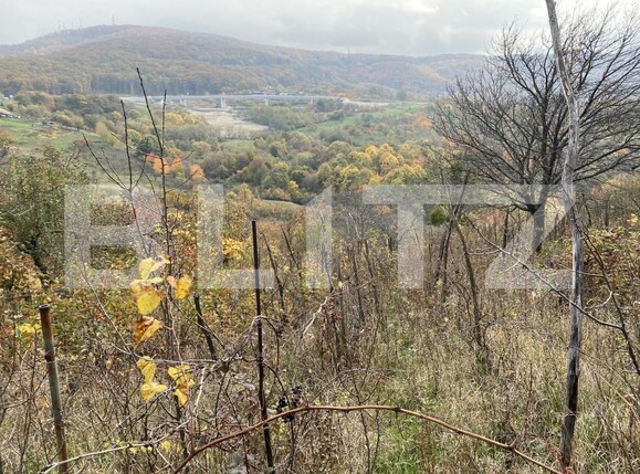 Teren de vânzare Exterior-Vest - 161051TV | BLITZ Zalău | Poza3