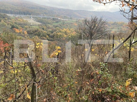 Teren de vânzare Exterior-Vest - 161051TV | BLITZ Zalău | Poza1