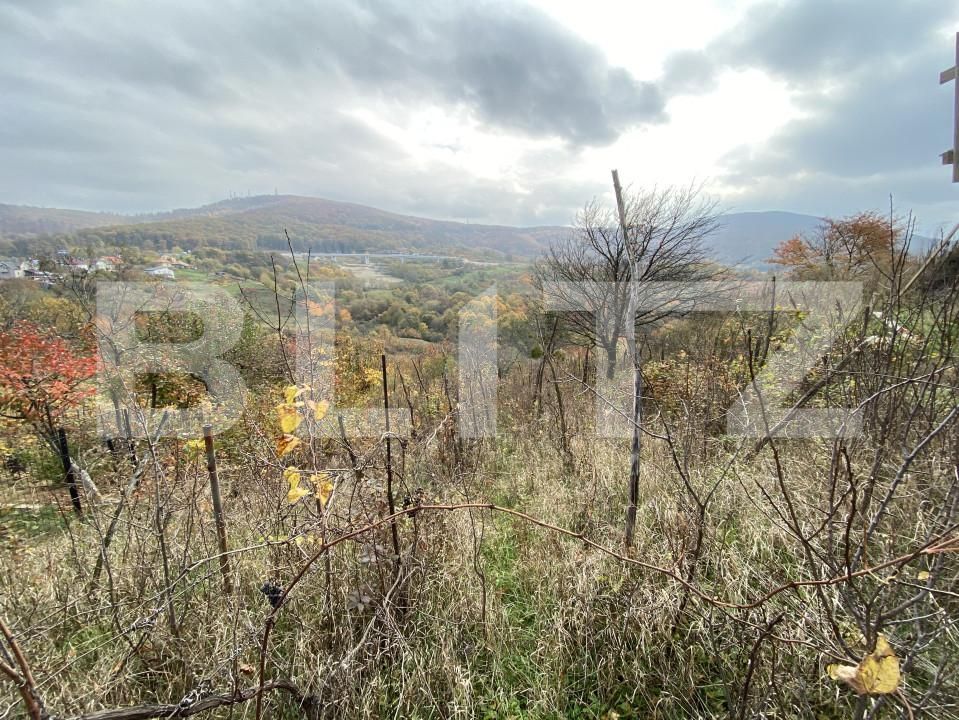 Teren de vânzare Exterior-Vest - 161051TV | BLITZ Zalău | Poza5