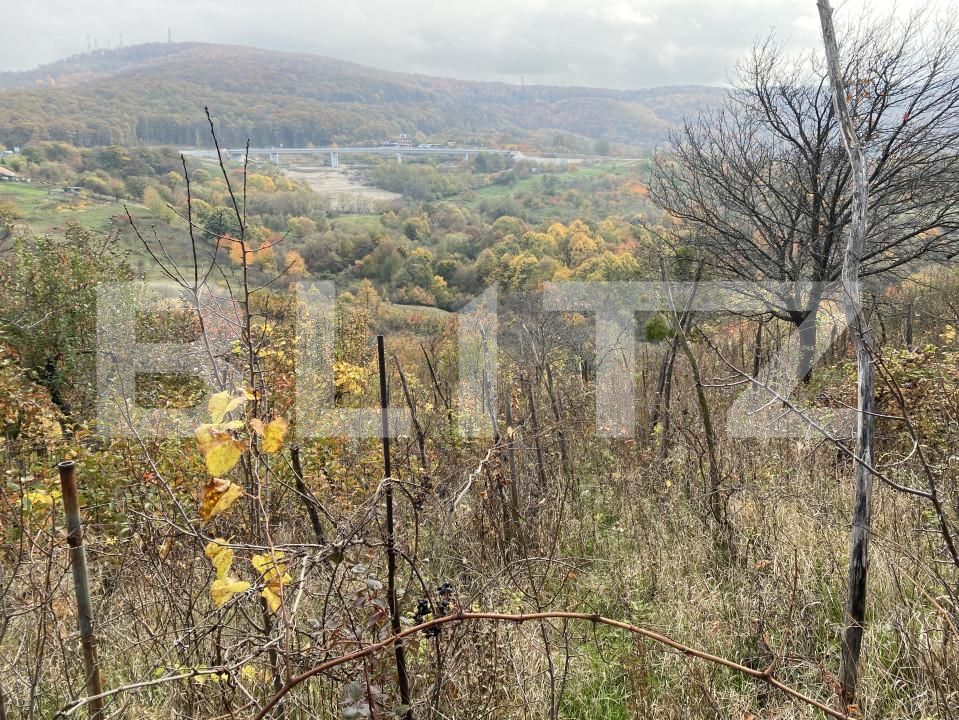 Teren de vânzare Exterior-Vest - 161051TV | BLITZ Zalău | Poza3