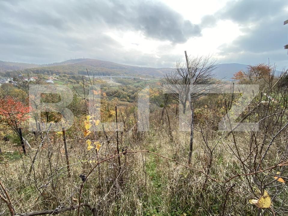 Teren de vânzare Exterior-Vest - 161051TV | BLITZ Zalău | Poza4