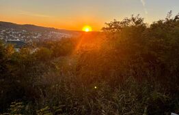 Teren intravilan in Zona Sarmas in suprafata de 1500 mp