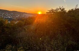 Teren intravilan in Zona Sarmas in suprafata de 1500 mp