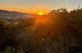 Teren intravilan in Zona Sarmas in suprafata de 1500 mp