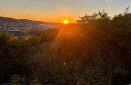 Teren intravilan in Zona Sarmas in suprafata de 1500 mp