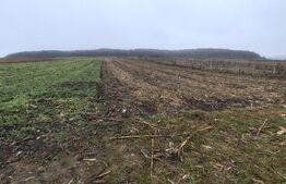 teren intravilan de vanzare