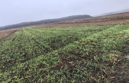 teren intravilan de vanzare