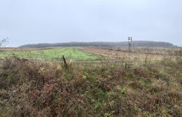 teren intravilan de vanzare