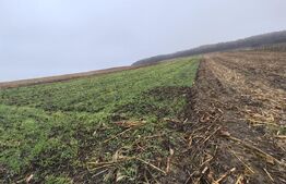 teren intravilan de vanzare