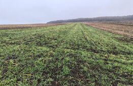 teren intravilan de vanzare