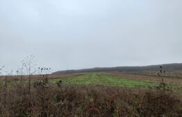 teren intravilan de vanzare