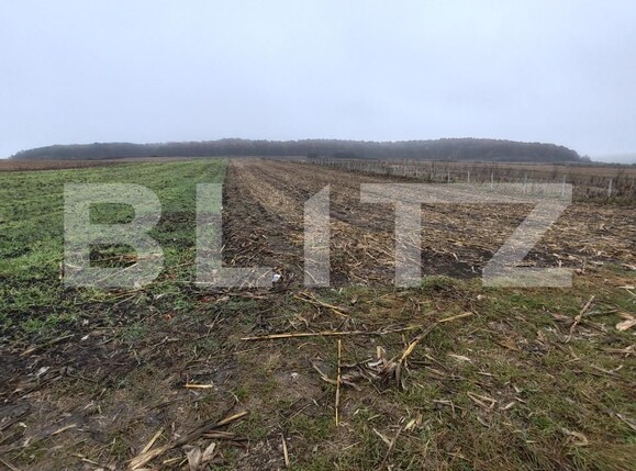 Teren de vânzare Recea - 161762TV | BLITZ Zalău | Poza2