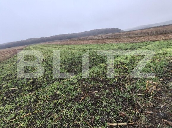 Teren de vânzare Recea - 161762TV | BLITZ Zalău | Poza9