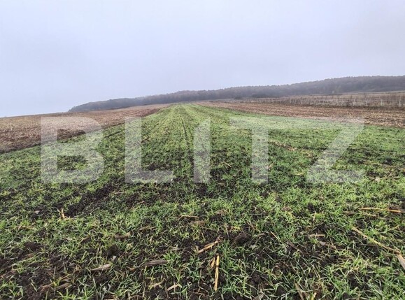 Teren de vânzare Recea - 161762TV | BLITZ Zalău | Poza7