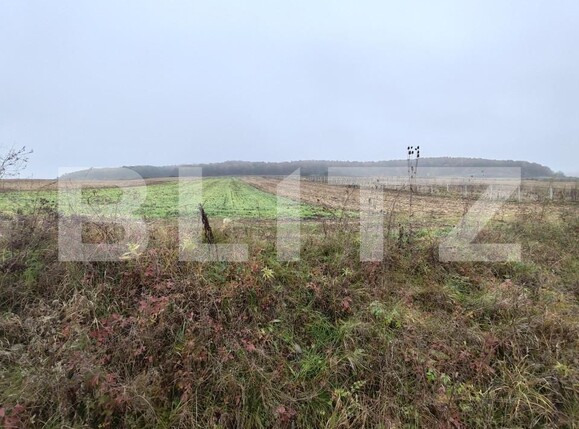 Teren de vânzare Recea - 161762TV | BLITZ Zalău | Poza1