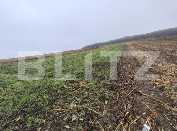 Teren de vânzare Recea - 161762TV | BLITZ Zalău | Poza3