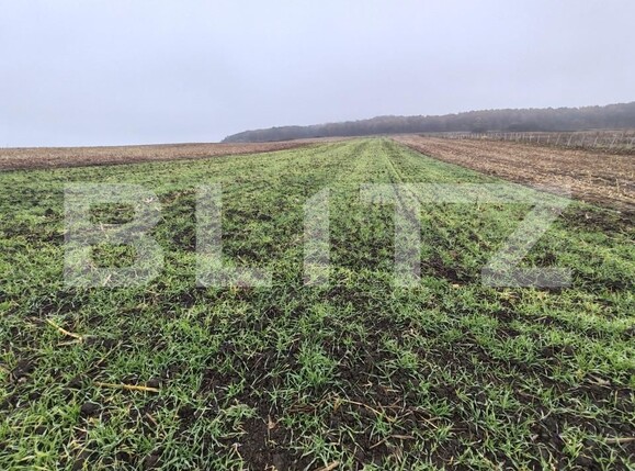 Teren de vânzare Recea - 161762TV | BLITZ Zalău | Poza4