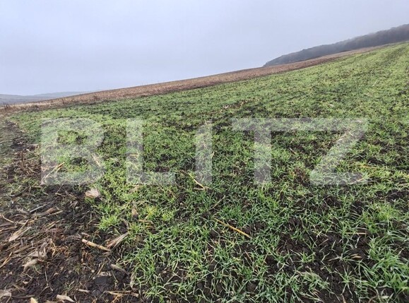 Teren de vânzare Recea - 161762TV | BLITZ Zalău | Poza5