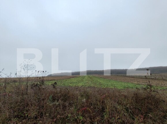 Teren de vânzare Recea - 161762TV | BLITZ Zalău | Poza10