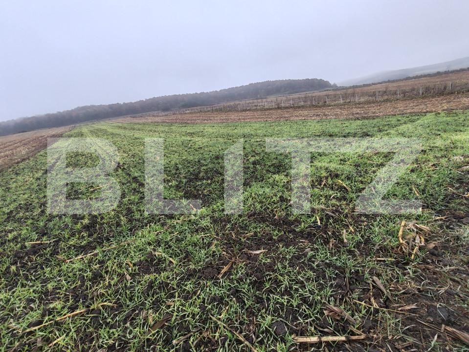 Teren de vânzare Recea - 161762TV | BLITZ Zalău | Poza9