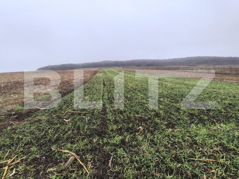 Teren de vânzare Recea - 161762TV | BLITZ Zalău | Poza8