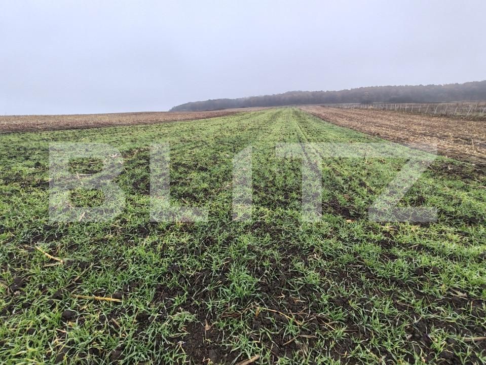 Teren de vânzare Recea - 161762TV | BLITZ Zalău | Poza4