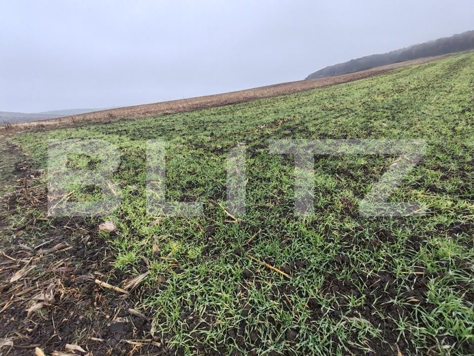 Teren de vânzare Recea - 161762TV | BLITZ Zalău | Poza5