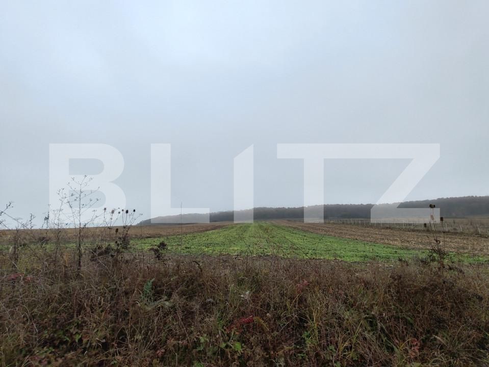 Teren de vânzare Recea - 161762TV | BLITZ Zalău | Poza10