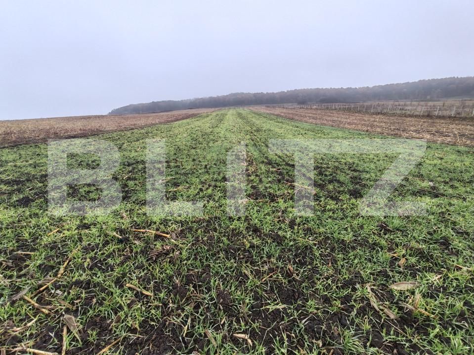 Teren de vânzare Recea - 161762TV | BLITZ Zalău | Poza6