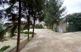 Casa de inchiriat - zona Centrala