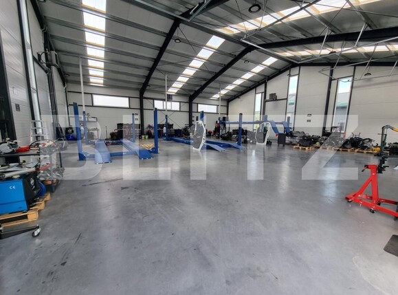 Spațiu industrial de închiriat Hereclean - 161937SII | BLITZ Zalău | Poza4