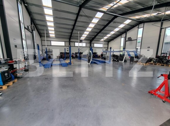 Spațiu industrial de închiriat Hereclean - 161937SII | BLITZ Zalău | Poza5