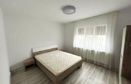 Apartament 2 camere, zona Sfanta Vineri