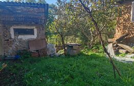 casa +anexe de vanzare in Chechis