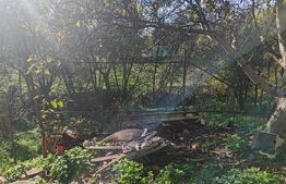 casa +anexe de vanzare in Chechis