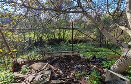 casa +anexe de vanzare in Chechis