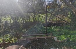 casa +anexe de vanzare in Chechis