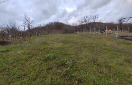 casa +anexe de vanzare