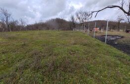 casa +anexe de vanzare