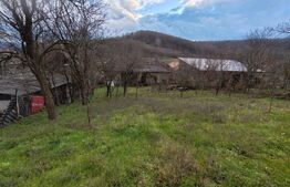 casa +anexe de vanzare